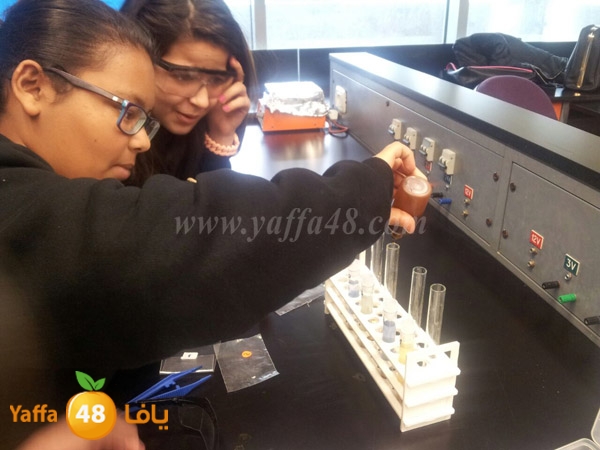 shamela 3omlom (8).jpg